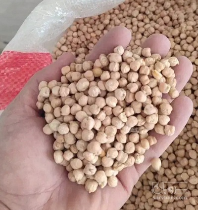 فروش نخود
