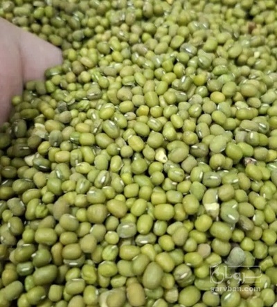فروش ماش