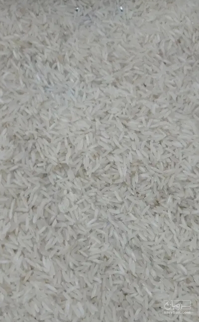 فروش برنج
