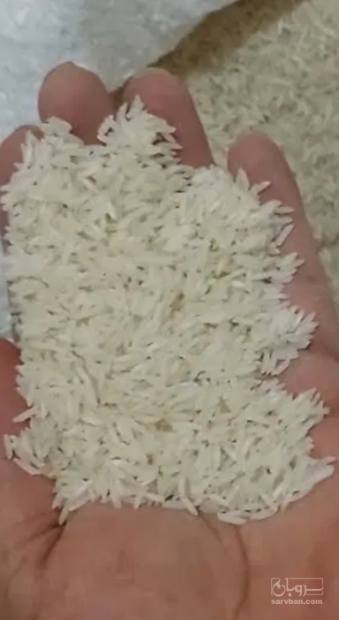 فروش برنج