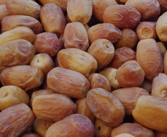 فروش خرما