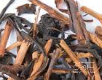 فروش چوب چای