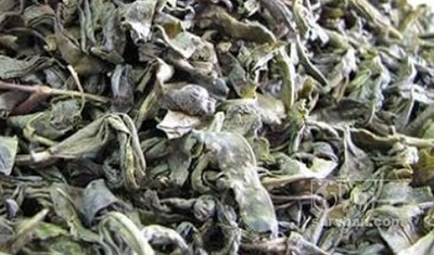 فروش چای سبز قلم