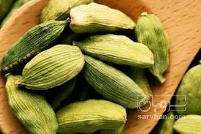 فروش هل (گیاه‌ دارویی)