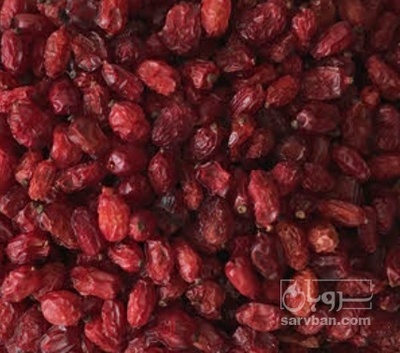 فروش زرشک اناری