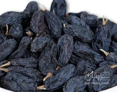فروش مویز