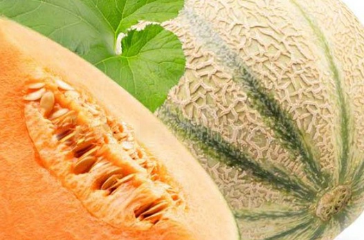 فروش طالبی