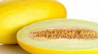 فروش خربزه