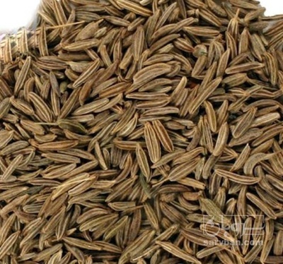 فروش زیره (گیاه‌ دارویی)
