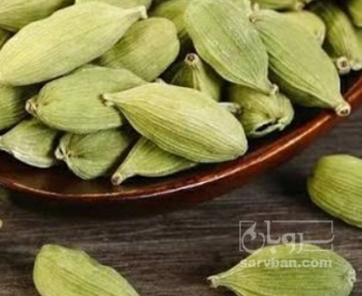فروش هل (گیاه‌ دارویی)