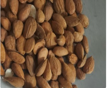 فروش بادام