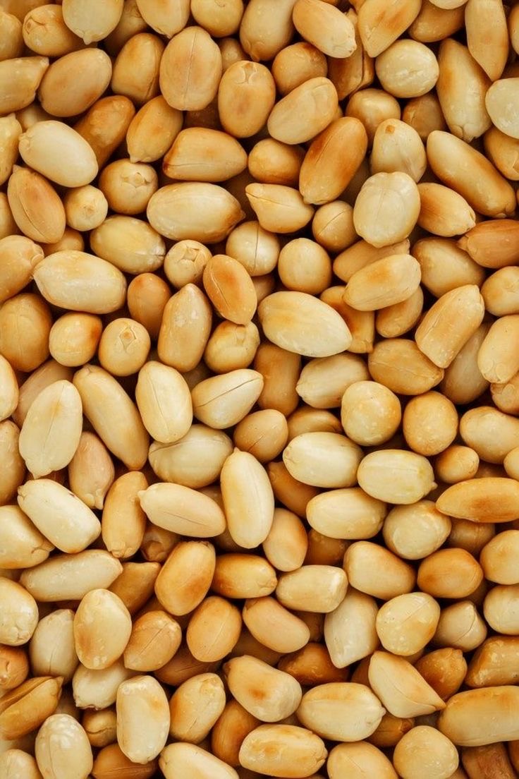 فروش بادام زمینی