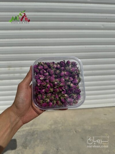 فروش غنچه گل محمدی (گیاه‌ دارویی)