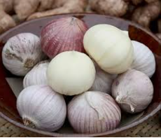فروش سیر