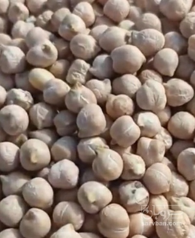 فروش نخود