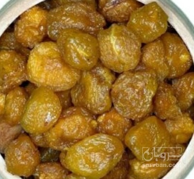 فروش آلو طرقبه سبز افتابی