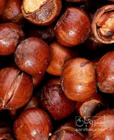 فروش فندق