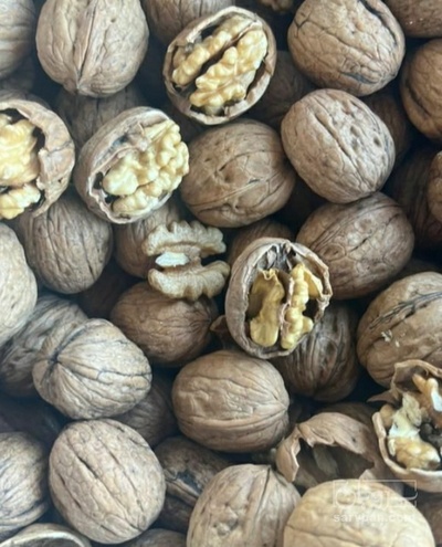 فروش گردو