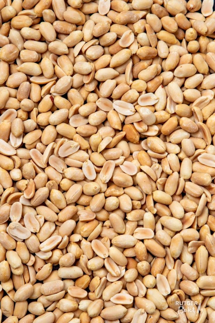 فروش بادام زمینی