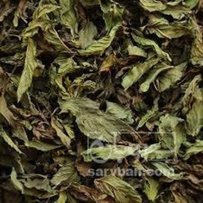 فروش نعناع خشک (گیاه‌ دارویی)