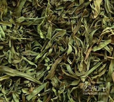 فروش ترخون (گیاه‌ دارویی)
