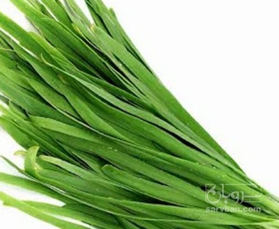 فروش تره