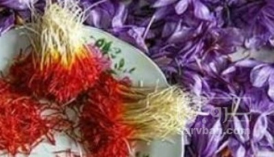 فروش زعفران سنتی (گیاه‌ دارویی)