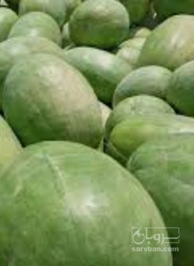 فروش هندوانه