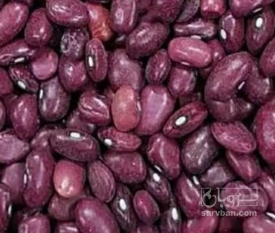 فروش لوبیا قرمز