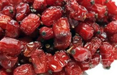 فروش زرشک