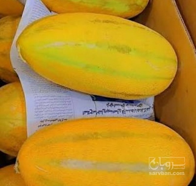 فروش خربزه