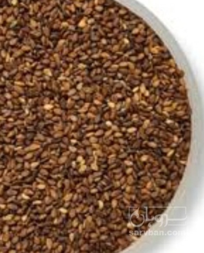 فروش کنجد بذری