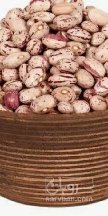 فروش لوبیا چیتی