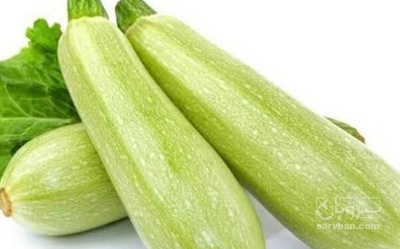 فروش کدو