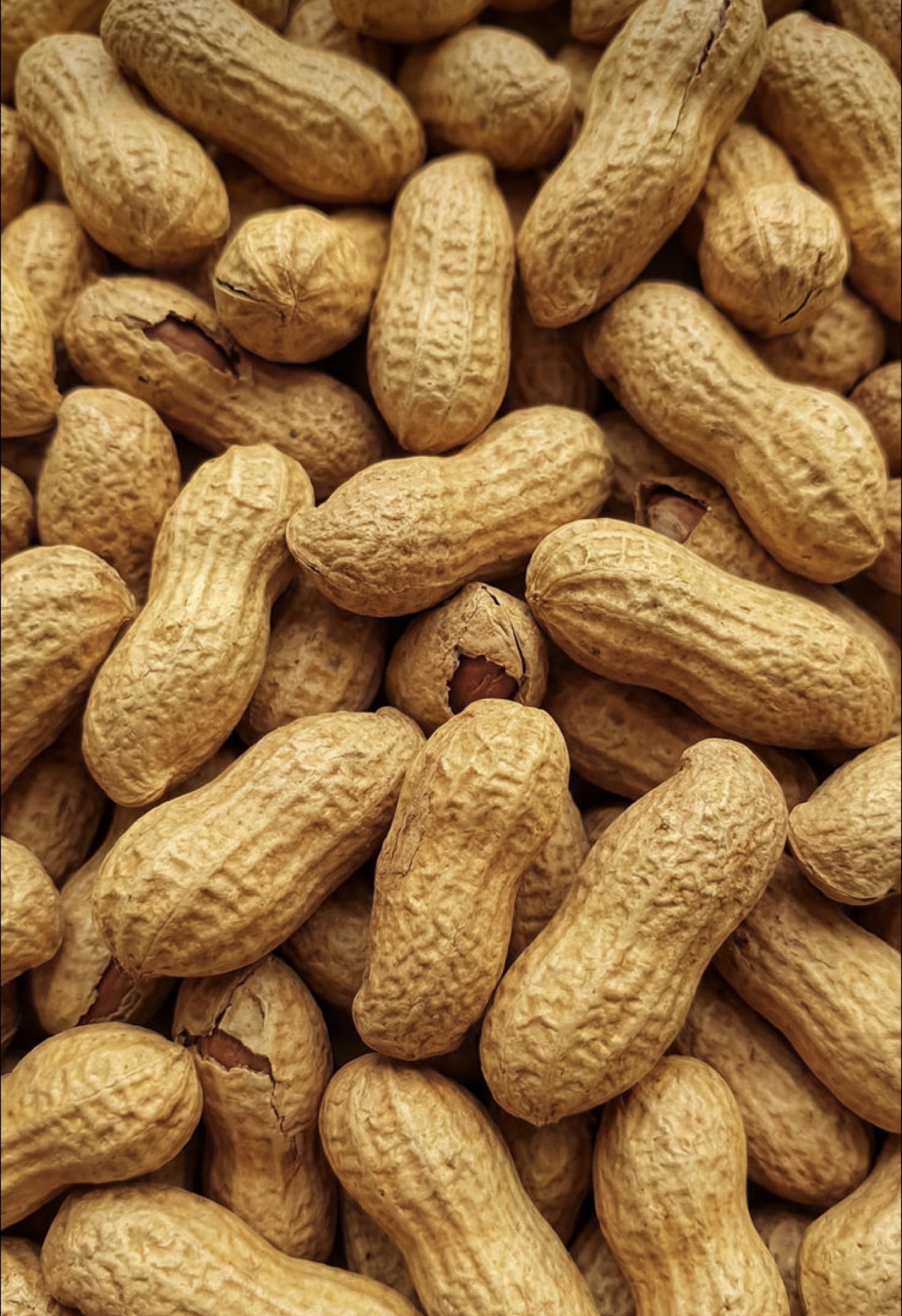فروش بادام زمینی