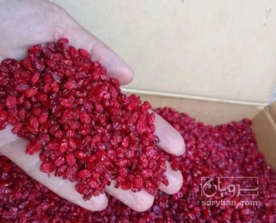 فروش زرشک پفکی
