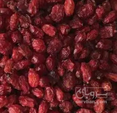 فروش زرشک زیر تالاری