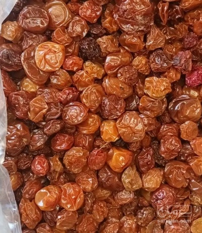فروش آلو سیدی