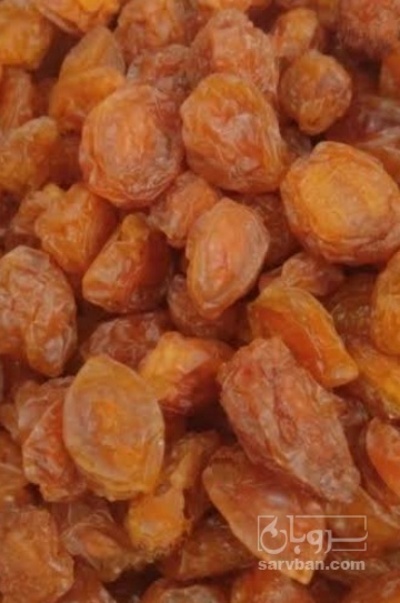 فروش آلو بخارا