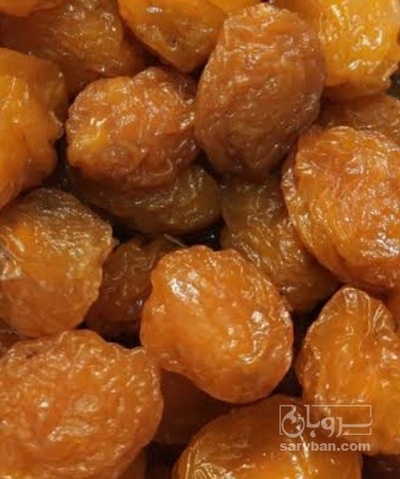 فروش آلو کبرایی