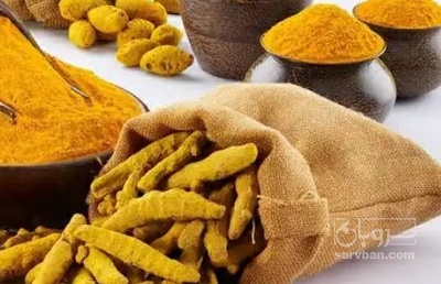 فروش  زردچوبه قلم