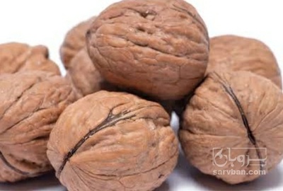 فروش گردو