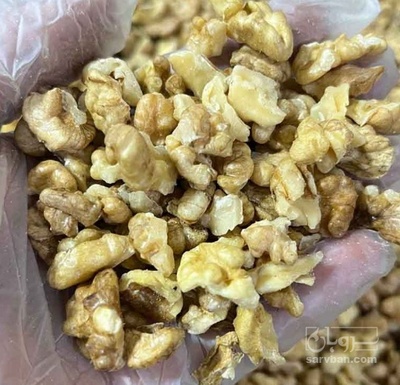 فروش  مغزگردو دندانه
