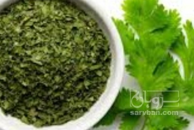 فروش گشنیز خشک