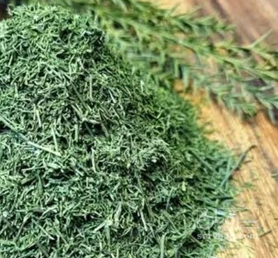 فروش شوید خشک (گیاه‌ دارویی)