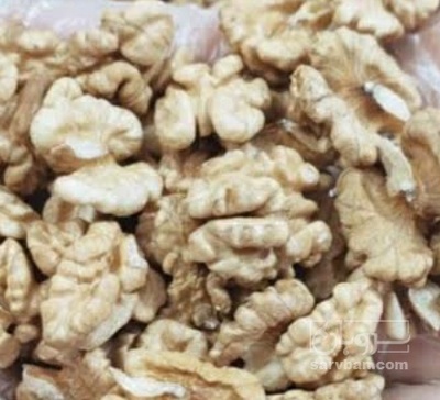 فروش  مغزگردو