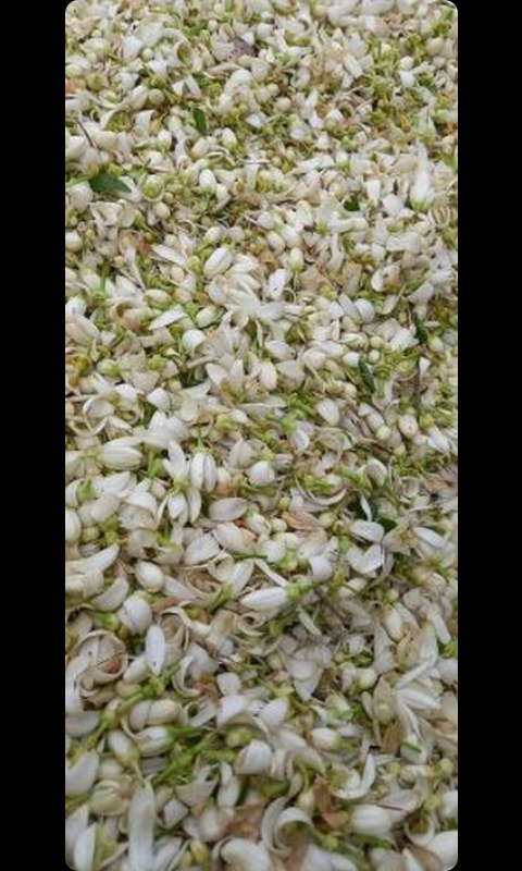 فروش عرق بهارنارنج