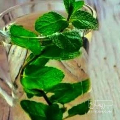 فروش عرق نعناع
