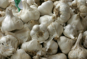 فروش سیر