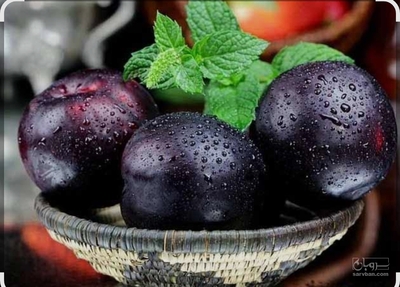 فروش آلوسیاه